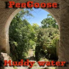 Muddy Water
