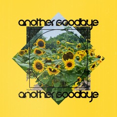 Sokudo! - Another Goodbye
