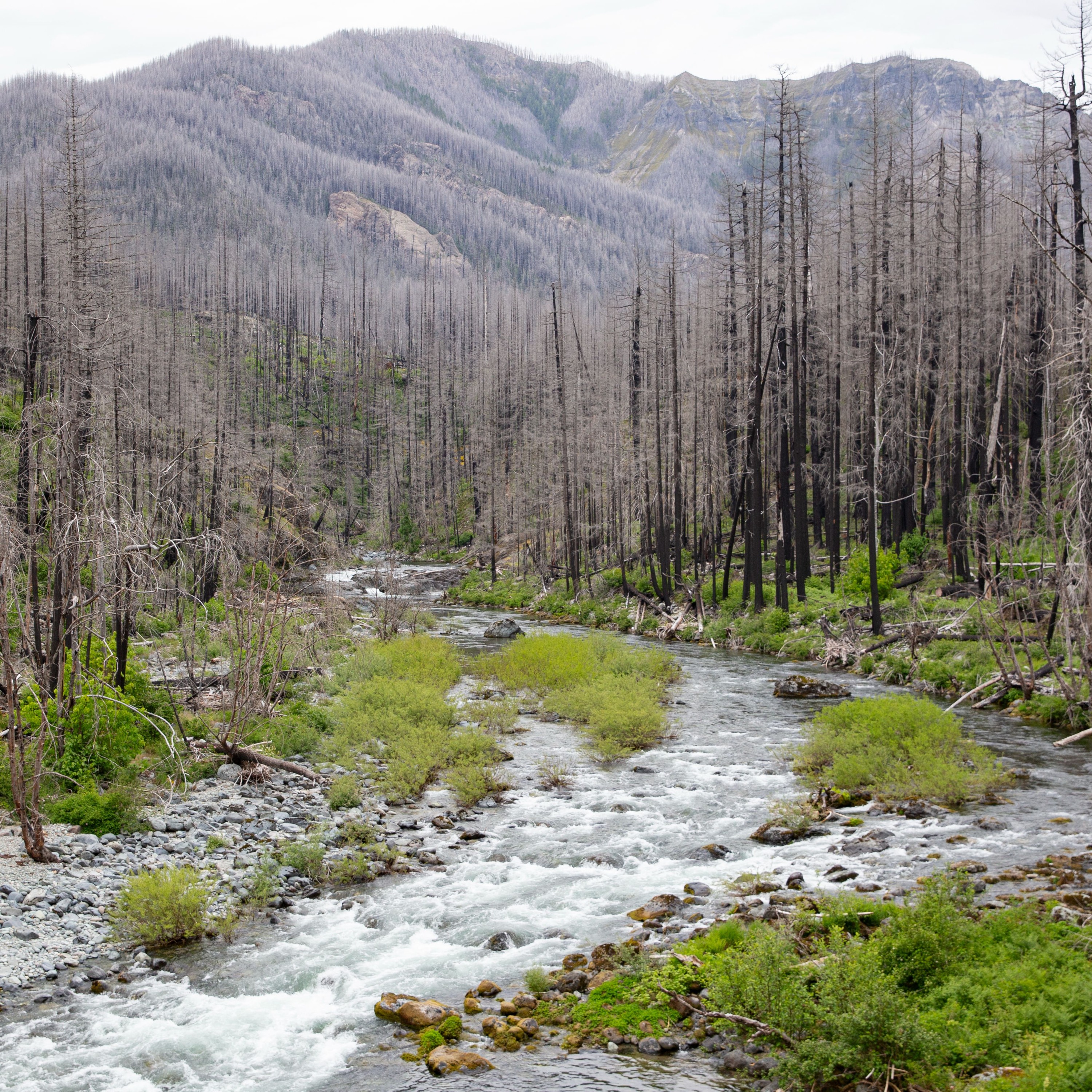 Explore Oregon Podcast: The state\'s most beautiful places and biggest issues