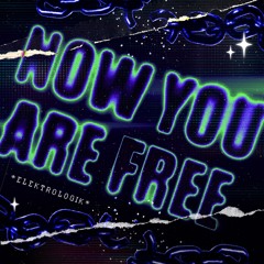 NOW YOU ARE FREE - ELEKTROLOGIK