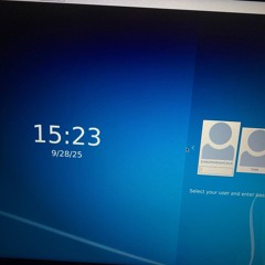 they told me heaven was beautiful