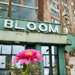 Bloom (Hermantra & Jah Born feat. Just1Beatz x Jordache V. Grant)