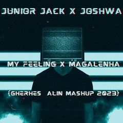 Junior Jack X Joshwa - My Feeling X Magalenha (Gherhes Alin Mashup 2023)