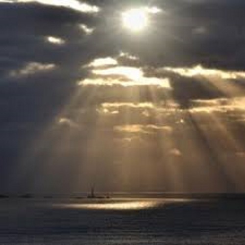 soak in the sunlight rays