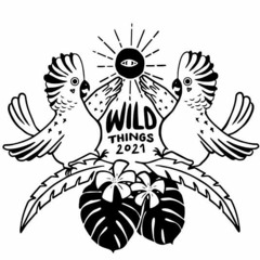 Just J - Wild Things Festival 2021