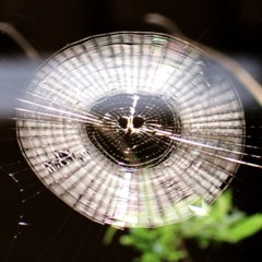 Rainy Day Meditation Drone
