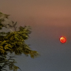 nice enough to make a man weep