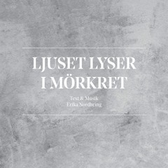 Ljuset lyser i mörkret