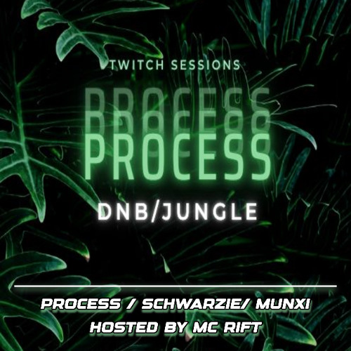 17.09.25 Process Schwarzie Twenty4Carat Rift