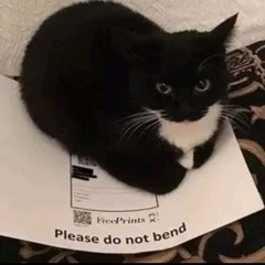 one hope (ft. David binney