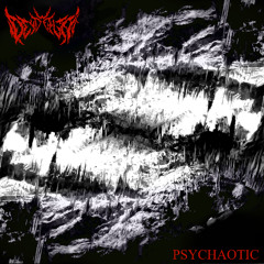 DEATHWISH (prod. 8l8)