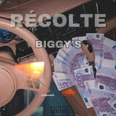BIGGYS - RECOLTE