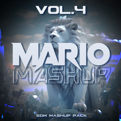 MARIO MASHUP 2025 Vol.4 ( BASS HOUSE & GUARACHA & TECHNO BIGROOM )