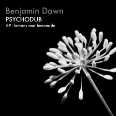 PSYCHODUB - EP lemons and lemonade