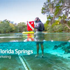 Best Springs In Florida To Snorkel Prices Reviews