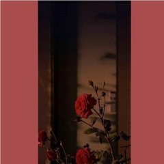 canh hong phai - lofi version