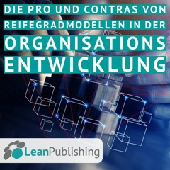 Die Pro und Contras von Reifegradmodellen in der Organisationsentwicklung