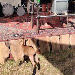 Downtempo After SommSonn