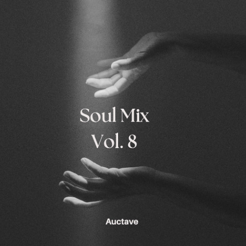 Soul Mix Vol. 8 (the very best of soul music)