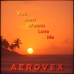Aerovex - You Dont Wanna Love Me
