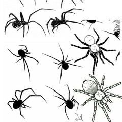 aphrodesia // prod . cashin300