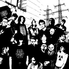 ELECTROBIRDS - ОСКОЛКИ
