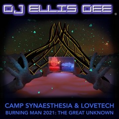 Burning Man Multiverse 2021 Synaesthesia LoveTech