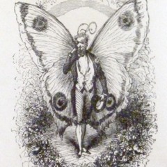 Lean Machine Promenade Sentimentale