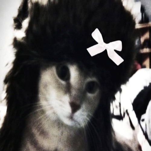 I do coke x For the girls x Pink diamond (chaseffx remix)