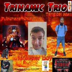 trinamic trio (prod. sav)
