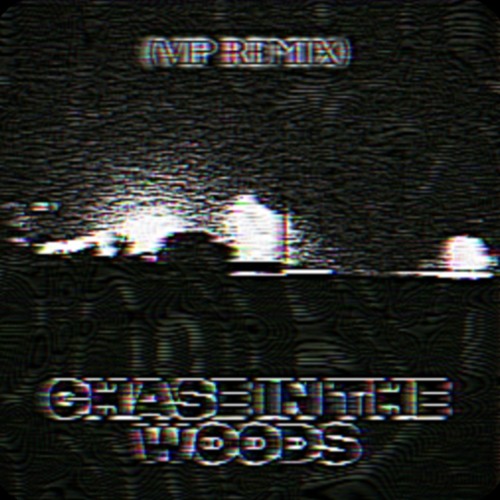 CHASE IN THE WOODS (VIP REMIX)
