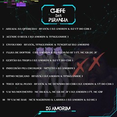 FAIXA 6 - Indecisão pra escolher - MC Lyny (DJ Amorim)