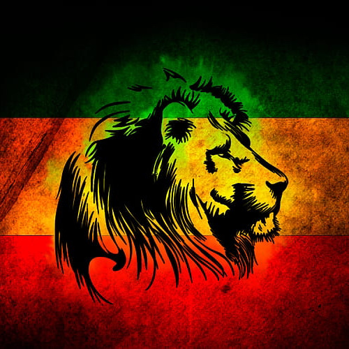 Rasta Man Dem Chune Vol 1🔥