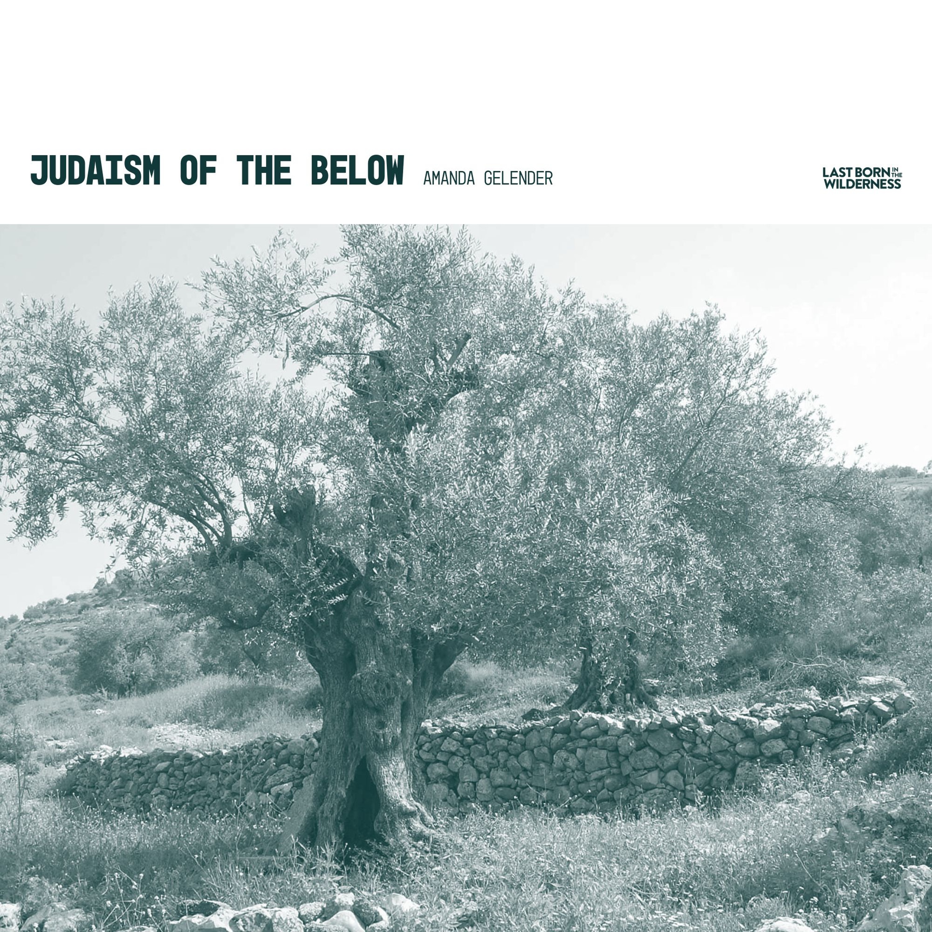 386 / Judaism of the Below / Amanda Gelender