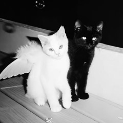 образ  (prod. quesleebang & wvkeh3vrt)