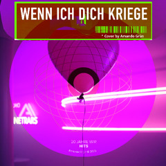 WENN ICH DICH KRIEGE (Cover „Ai Se Eu Te Pego“ by Michel Teló  | Amando Grün)