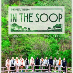 SEVENTEEN In The SOOP - Tittle song