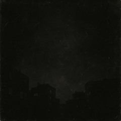 Amaryllis - Blackout