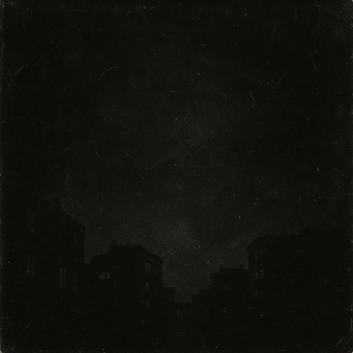 Amaryllis - Noir Aurora