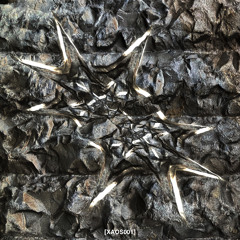 Premiere: Xaos – Motherfucker [XAOS00]