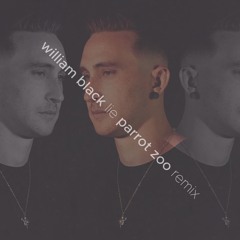 Lie [Parrot Zoo Remix]