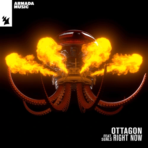 Artwork for the song  OTTAGON - Right Now (feat. SGNLS)  by OTTAGON on Next Sound