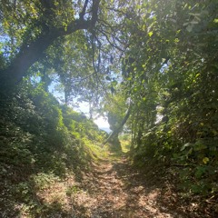 WantU2Stay (faketalency)