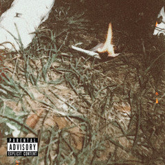 If I (Trifiling) [feat. Acedupt]