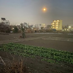 Stone Heart Inferno.m4a