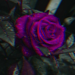 PIPED UP - Instrumental