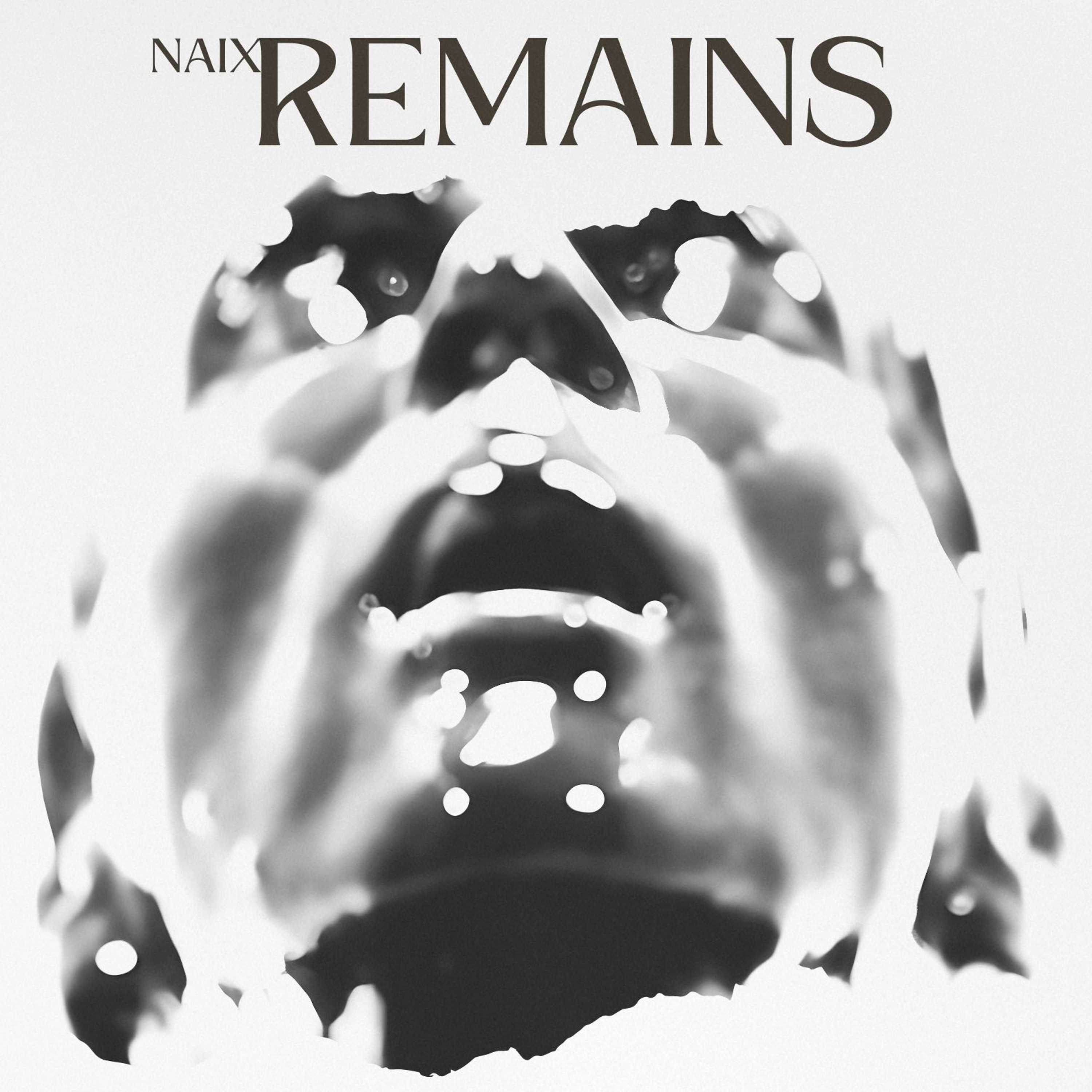 Naix - Remains LP [Furthur Electronix FE002] - (CLIPS)
