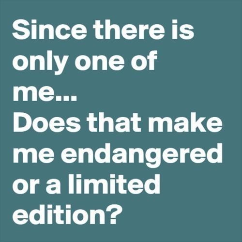 There can be only One.