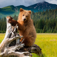 CASHAPP $ELIJAHDURAZO  4 A RANDOM BEAT