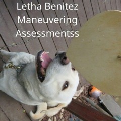 Maneuvering Assessmentss